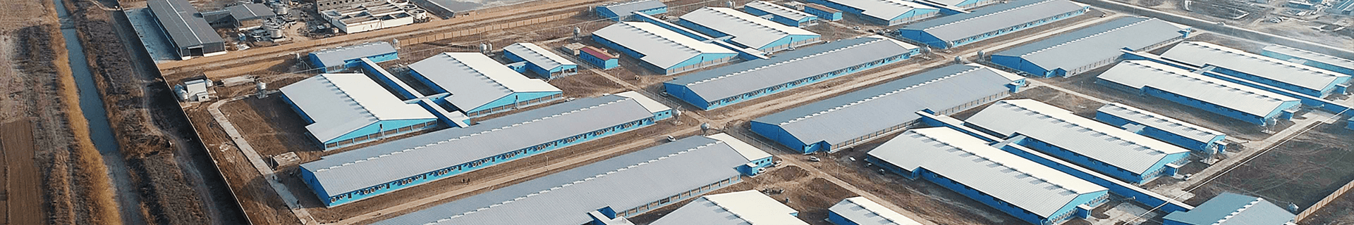 社會(huì)責(zé)任